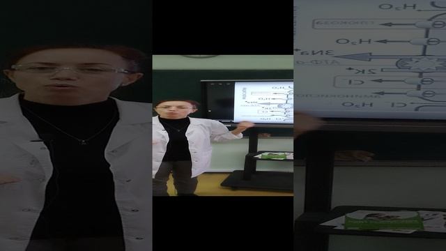 биохимия почек