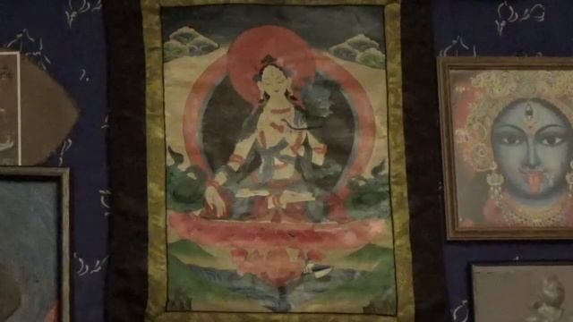 24 October 2021: “Kali and the Cat” смотреть онлайн