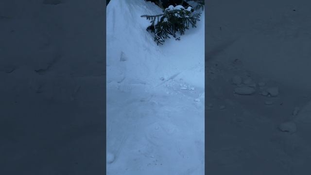 Сугробы снега вот какие у нас