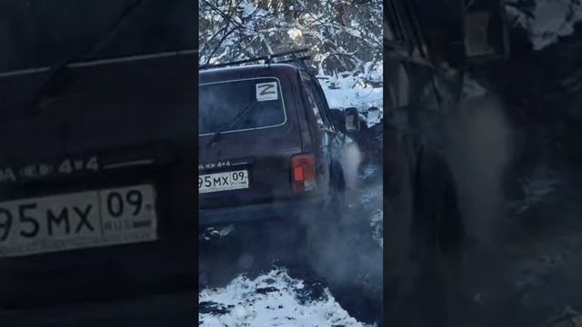 Нива смотреть онлайн