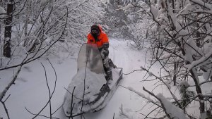 СЕГОДНЯ СОБОЛЕЙ И БЕЛОК В ТРИ РАЗА БОЛЬШЕ!!! ЗАКРЫВАЮ ДАЛЬНИЕ ПУТИКИ.