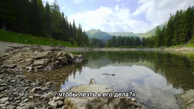 "Ненужное любопытство". 12 декабря. Сегодня-лучший путь. Ежедневник для созависимых. смотреть онлайн
