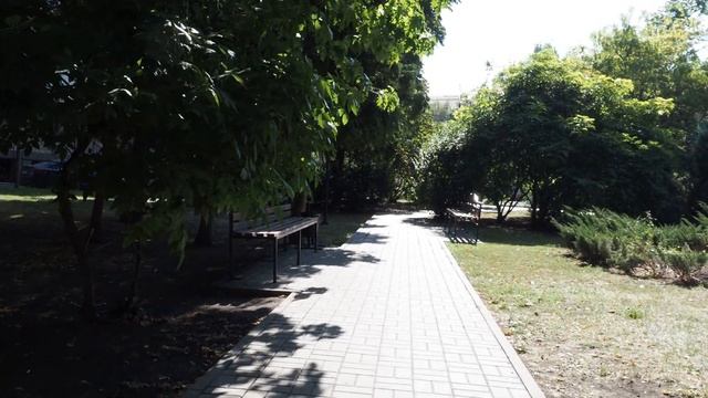 Воронеж,25 августа 2020 г смотреть онлайн