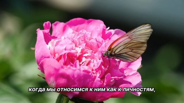 "Роли на работе". 19 декабря. Мелоди Битти. Ежедневник для созависимых. смотреть онлайн