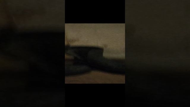 серия номер 3 по футболу смотреть онлайн