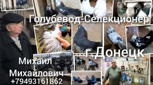 В гостях у Голубевода-Селекционера Михаила Михайловича (г.Донецк 2024)