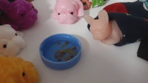 Чем надо кормить сквиши-собак 🐺