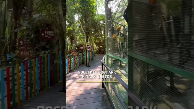 Экскурсия на Хайнане. Тропический лес Янода смотреть онлайн