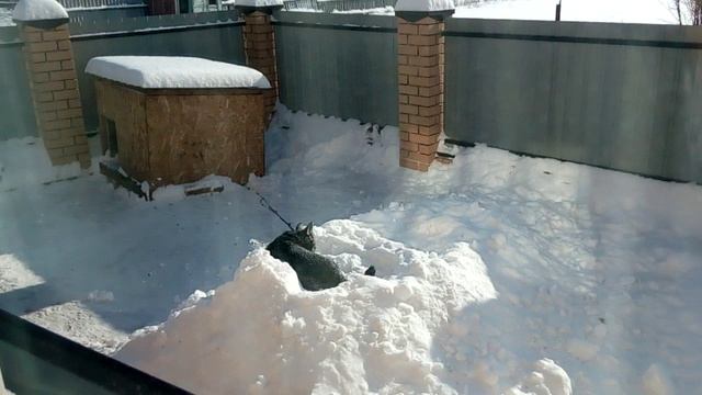 VID_20180227_120444 смотреть онлайн