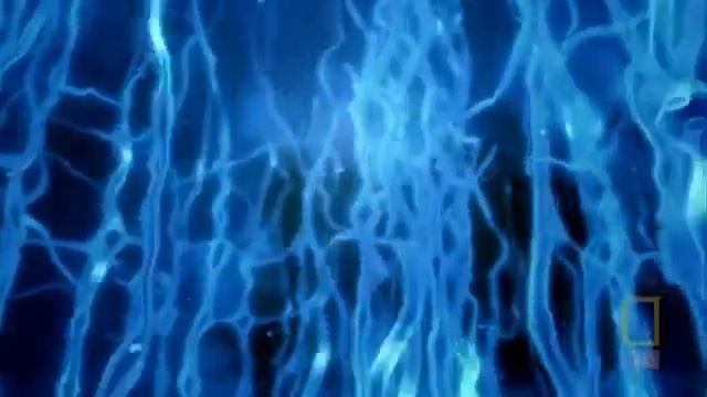 National Geographic Внутри живого тела 2007