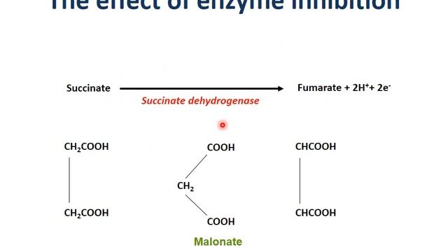 enzyme reversible inhibition смотреть онлайн