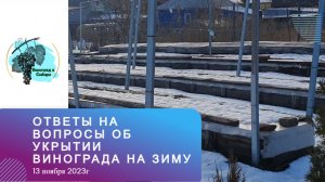 Ответы на вопросы об укытии винограда на зиму 13.11.2023