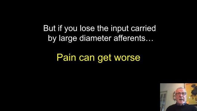 Lezioni di Fisiologia - Prof. Allan Basbaum: Pain mechanisms and the future of pain management смотреть онлайн
