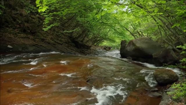 "Всего лишь сказать "нет". 20 декабря. Сегодня-лучший путь. Ежедневник для созависимых. смотреть онлайн