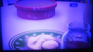 Барбоскин Ньюз 1 выпуск (МУЛЬТ, 07.12.2024)