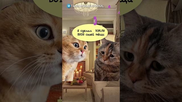 Промахнулся #мыкотики #вмем #разговор #анекдот #шутки #кот #юмор #смешное #прикольно #мемы #cat смотреть онлайн