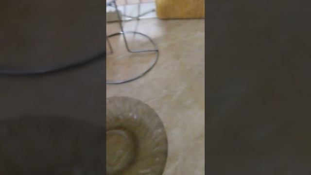 тутор как налить воды смотреть онлайн