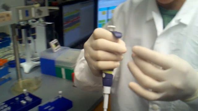 cloning cycle - how to set up a resctriction digest on plasmid or pcr DNA смотреть онлайн