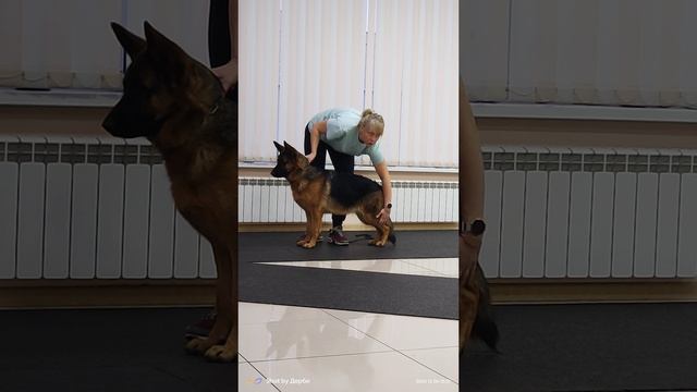 Ост Грация Империя.mp4 смотреть онлайн
