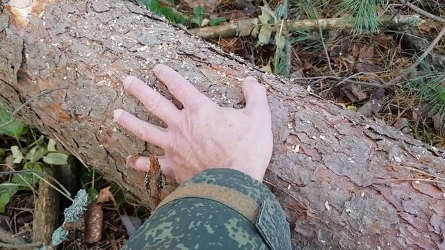 Рекультивация Начало Мочалово 1 смотреть онлайн