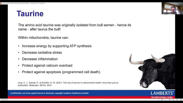 Lamberts Webinar, Supporting the Health of Mitochondria with Ray Griffiths смотреть онлайн