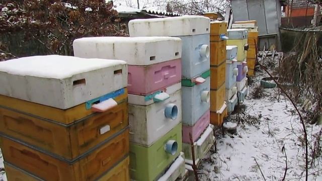 7.12.2024 - гибель и ослабления пчел в декабре, как я постарался решить эту проблему - часть 1 - 3 смотреть онлайн