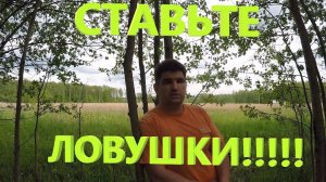 Стоит ли ставить ЛОВУШКИ на ПЧЁЛ????