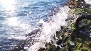 Катер на подводных крыльях СССР модель