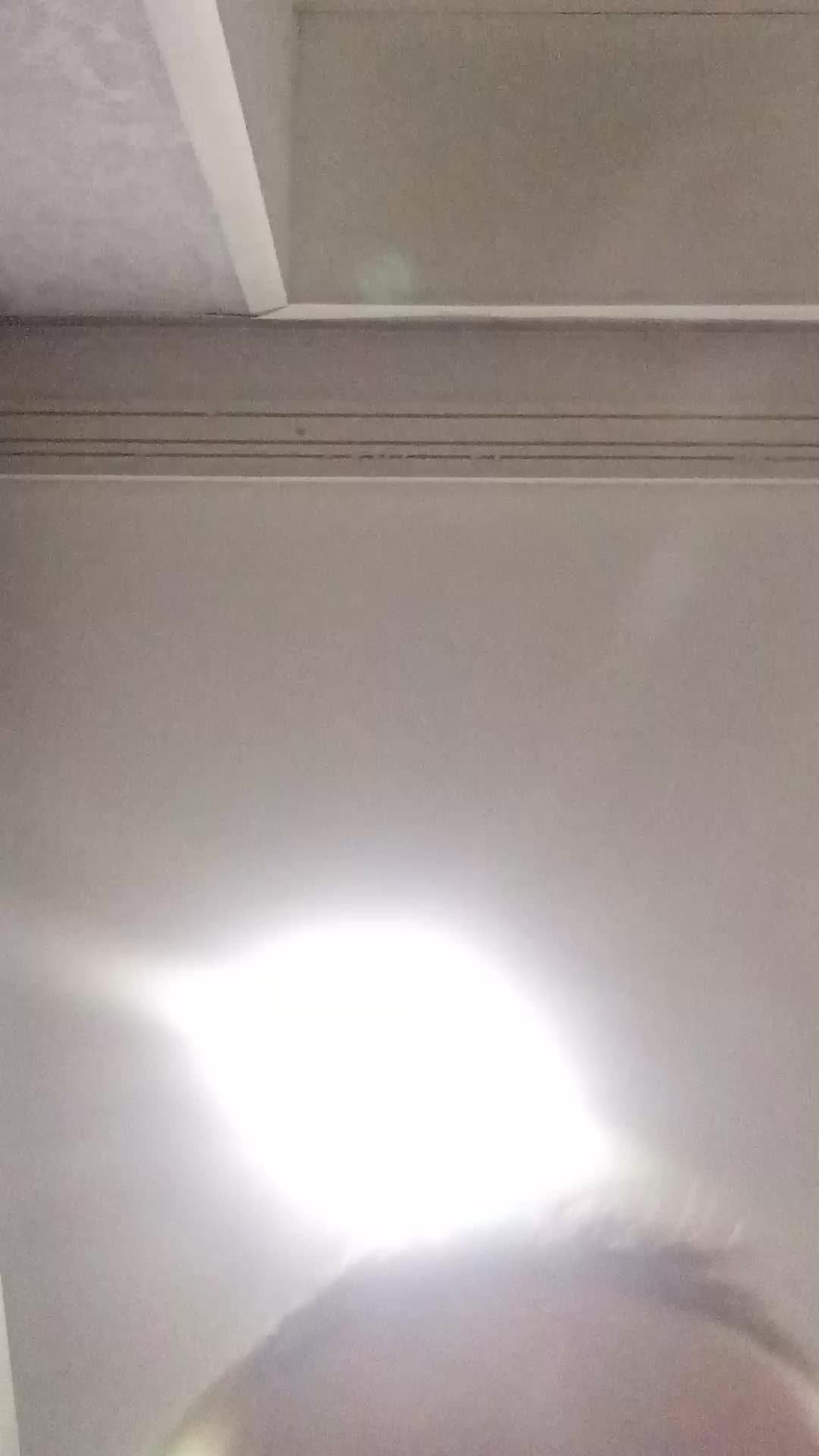 Диман абобус