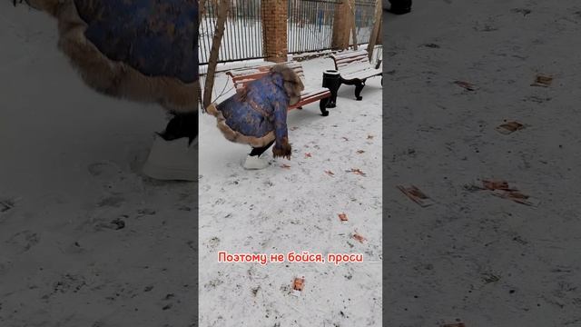 Наталья Дмитриева Бизнес Психолог