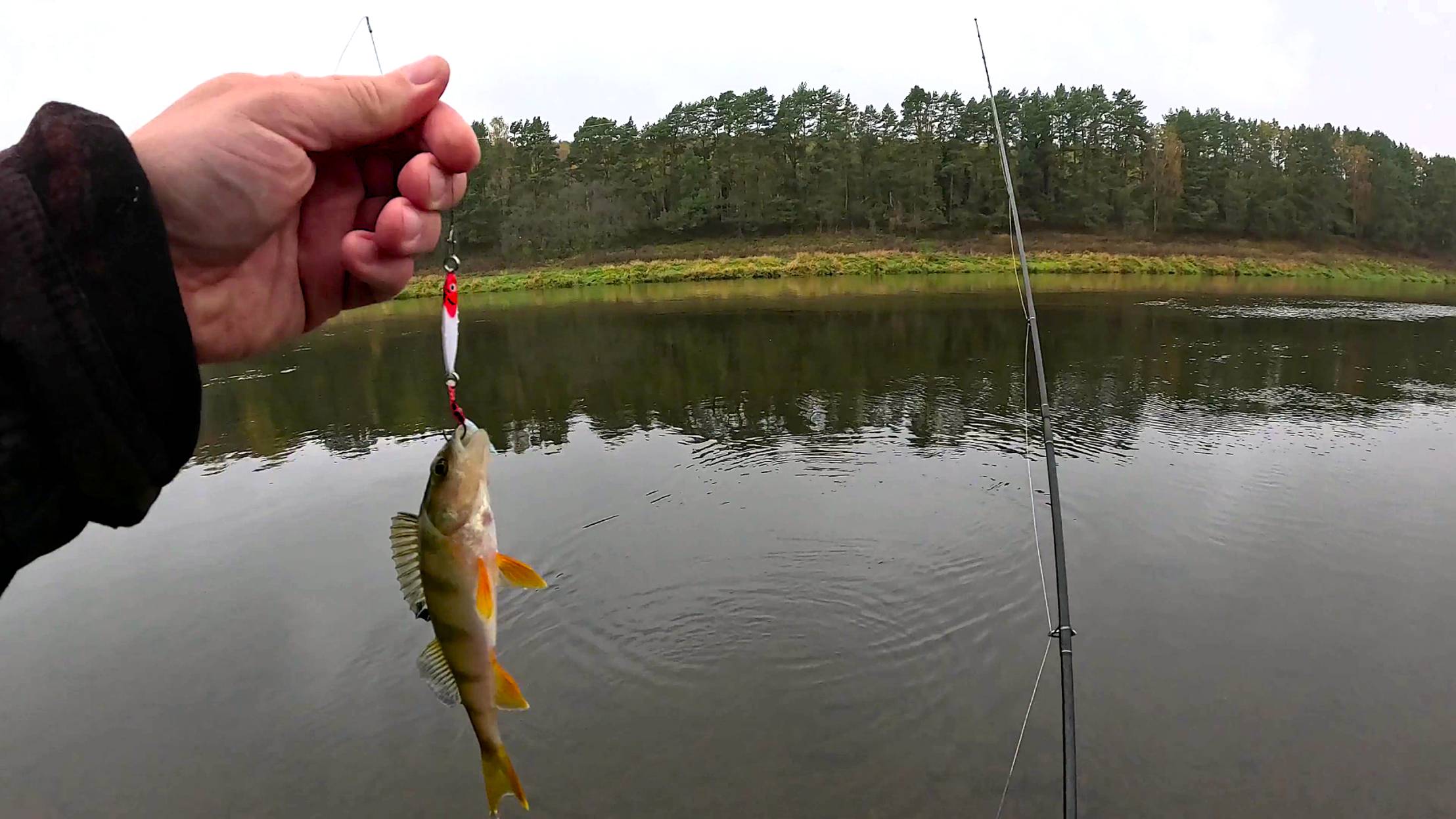 За окунем по старым местам. смотреть онлайн