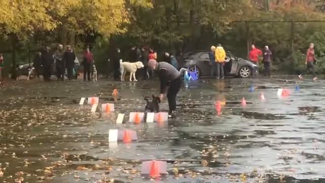 Паркур Псков смотреть онлайн