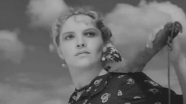 Лучшее исполнение песни "Осока" смотреть онлайн