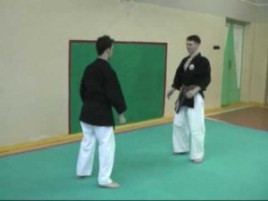 Goshinjutsu - Seibukan Karate, Jinbukan Kobudo RUSSIA - Batista & Barmichev