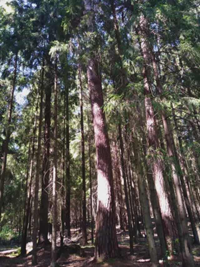 №55 Тонкая сонастройка структур смотреть онлайн