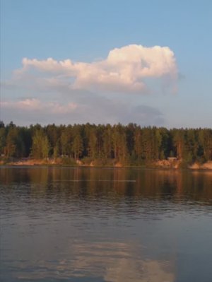 №45 Рассортировка энергий по божественному эталону