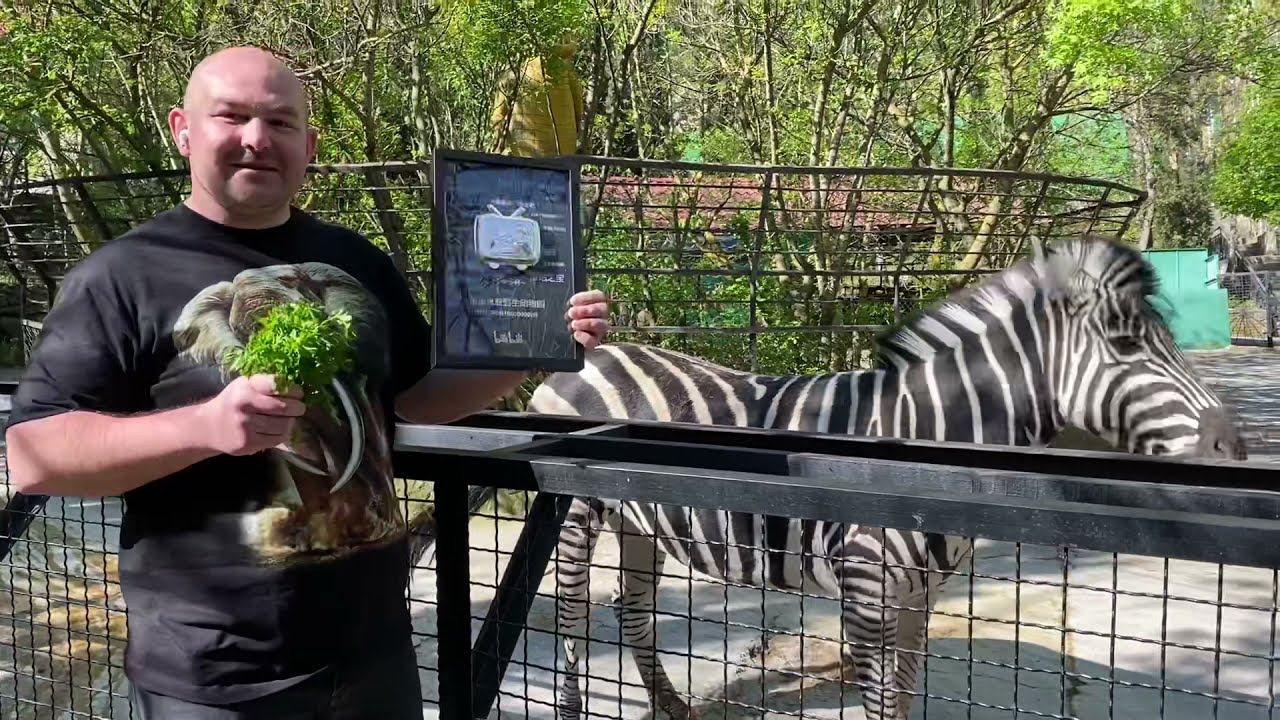 Ура! Первое СЕРЕБРО! Зоопарк «СКАЗКА» смотреть онлайн