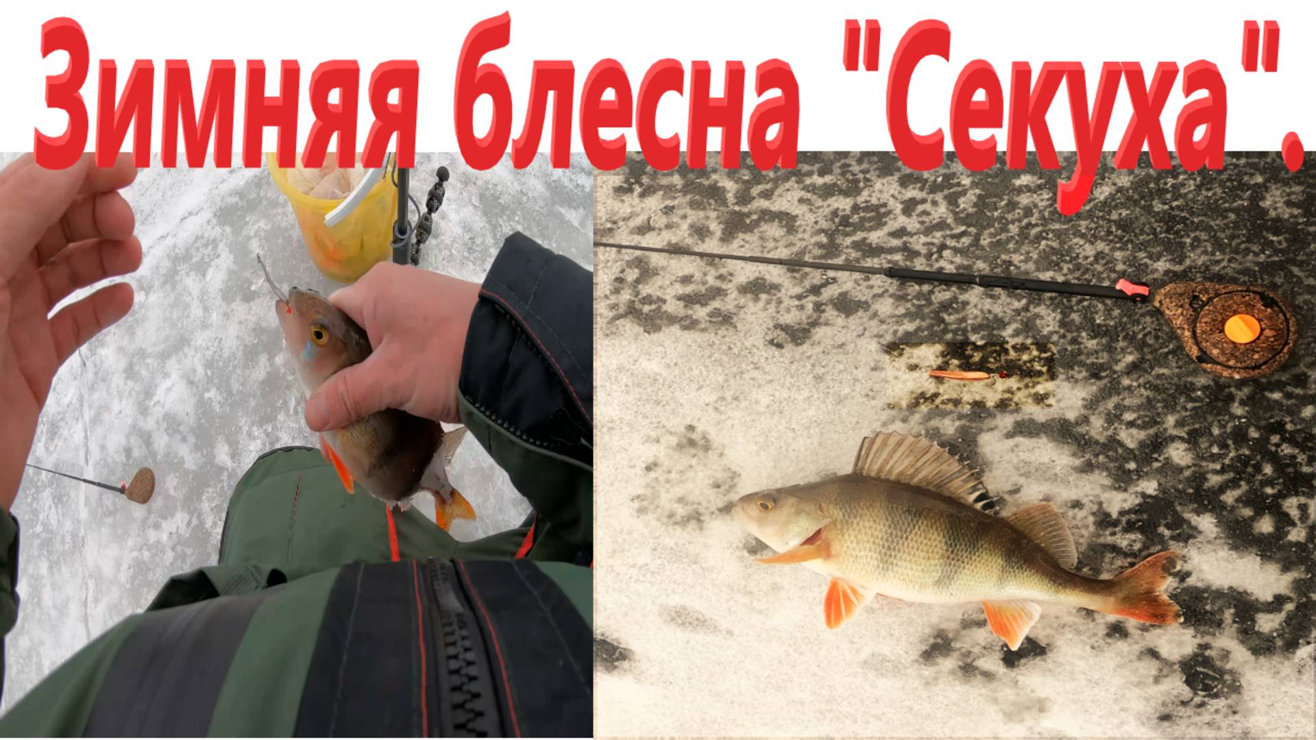 Самая уловистая зимняя блесна "Секуха". Ловля окуня зимой. смотреть онлайн