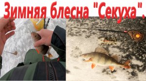 Самая уловистая зимняя блесна "Секуха". Ловля окуня зимой.