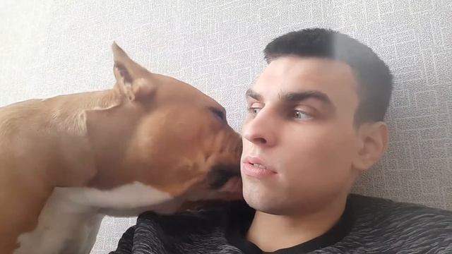 Ам Стафф проявляет любовь😄 смотреть онлайн