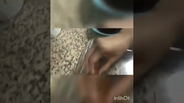 Tiramisu Pudding 😋