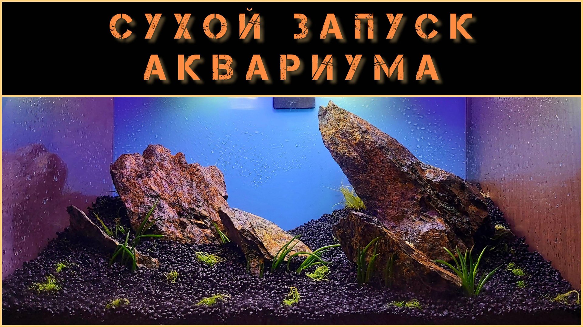 Сухой запуск аквариума смотреть онлайн