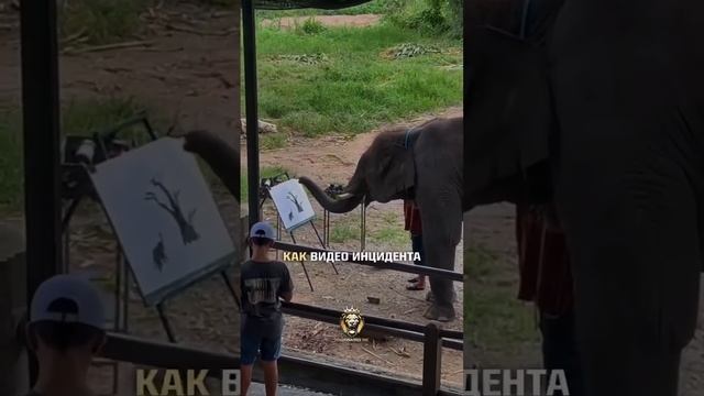 слон,который рисует смотреть онлайн