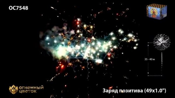 Фейерверк Заряд позитива 1 х49 ОС7548