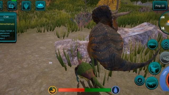 жизнь орнитомима