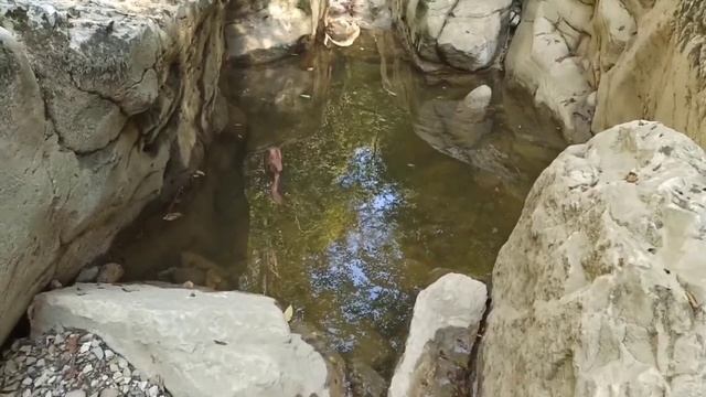 Влог_Мацеста_Агурские водопады_Лазаревское смотреть онлайн