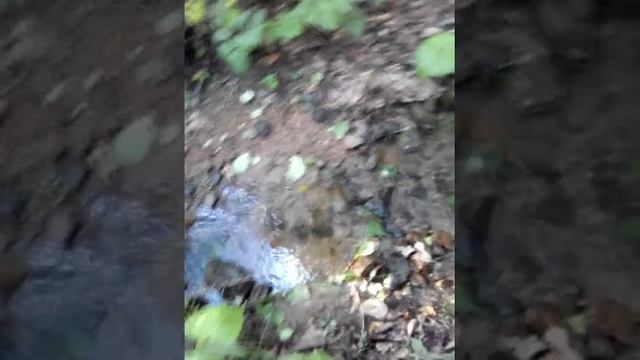 работа шлюза на ручье смотреть онлайн