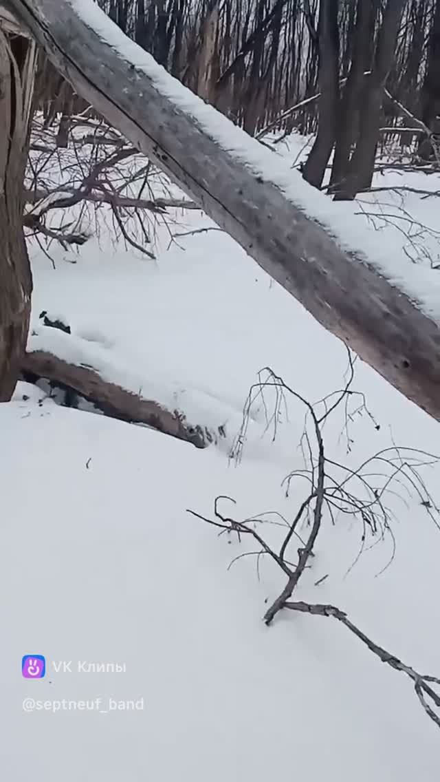 Деревяшки для моих поделок к фильму