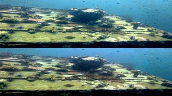 Diving (Explore The World) (1080p) / Дайвинг (исследуя мир) 3D видео
