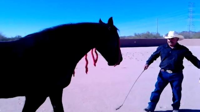 Pancho Villa #2 смотреть онлайн